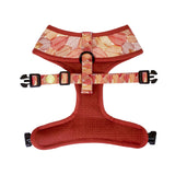 Pata Paw - Reversible Harness for Dogs