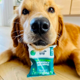 -40% BLACK FRIDAY DEAL - Hownd Yup You Stink! Emergency Dog Wipes