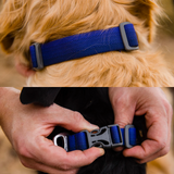 Ruffwear Front Range, Dog Collar (5 Colours)