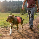 Ruffwear Switchbak™ Multi-Function Dog Leash