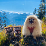 Wackee Snacks - Get Stuffed! Friandises de dinde contre les vers (70g)