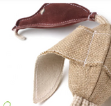 Eco Toy - Desmond the Duck