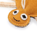 Eco- jouet - Pinkie Bone pour chiens