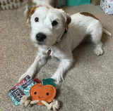 Eco Dog Toy -Sancho the Satsuma