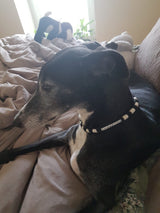 EM® Ceramic Natural Anti-Tick Collar