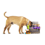 11_The_Woof_Club_19_07_01