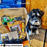 Woof Club Halloween Box for Dogs