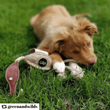 Eco Dog Toy Desmond the Duck with puppy chewing it