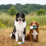 -40% BLACK FRIDAY DEAL - Hownd Yup You Stink! Emergency Dog Wipes