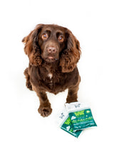 -40% BLACK FRIDAY DEAL - Hownd Yup You Stink! Emergency Dog Wipes