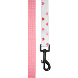 Pata Paw - Leash for Dogs