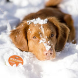 Hownd - Baume au chanvre pour la peau, le nez et les pattes avec protection solaire (50g)