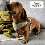 Reversible Harness for Dogs