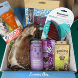 Summer Box