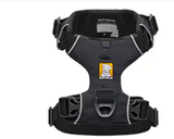 TWILIGHT GREY HARNESS