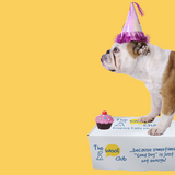 Untitled design (14)