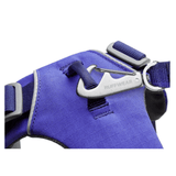 Untitled design (27)