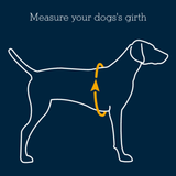 Untitled design (31)