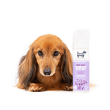 Untitled design (38)