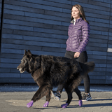 PawZ Rubber Dog Boots