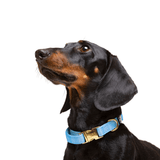 Untitled design (54)