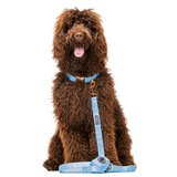 Untitled design (56)