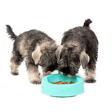 Hownd Antibacterial Hero Bowl