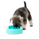 Hownd Antibacterial Hero Bowl