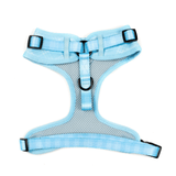 Untitled design (61)