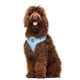 Untitled design (63)