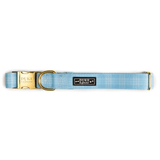 Baby Blue: Dog Collar