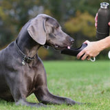 Dog Water Bottle
