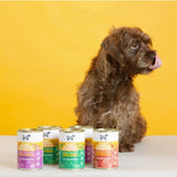 Hownd vegan dog wet food range with dog,