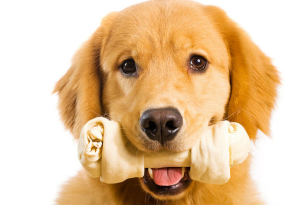 How Safe Are Rawhide Chews for My Dog?