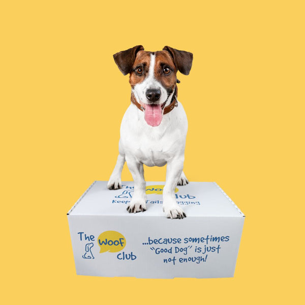 Puppy Gift Box - Woofbox - Gift Boxes and Monthly Subscriptions