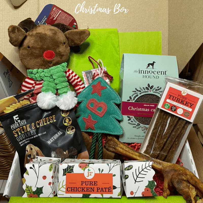 Die Weihnachtsbox für Hunde - Vorbestellung