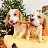 Die Weihnachtsbox für Hunde - Vorbestellung