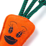Eco-Toy Candice Carrot for Dogs close up on face