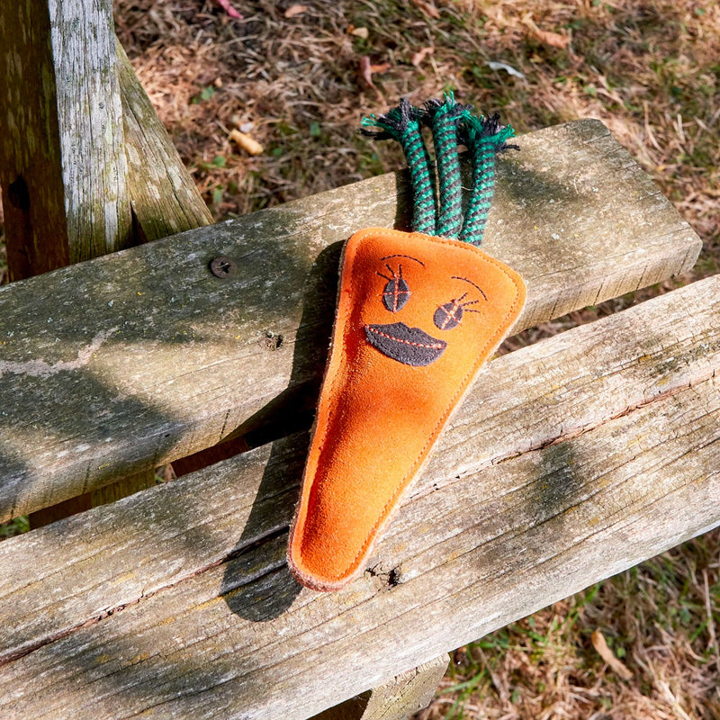Eco-Toy Candice Carrot for Dogs on bench