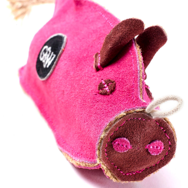 Peggy the Pig Eco Crinkle Dog Toy close up of face
