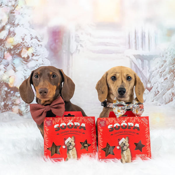 Soopa Christmas Sélection Boîte - Trestaux pour chiens végétaliens