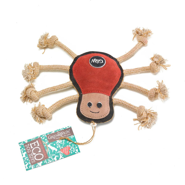 Spike the Spider Eco-friendly Dog Toy