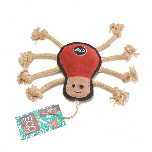 Eco-Toy Candice Carrot for Dogs