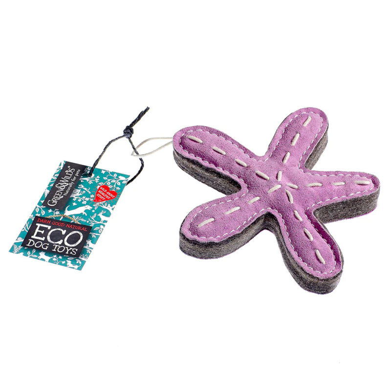 Sustainable Toy for Dogs Stanley the Starfish