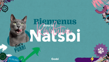 Natsbi Cat – gedämpfte natürliche Zutaten ohne Zusatz von Wasser, 80 g