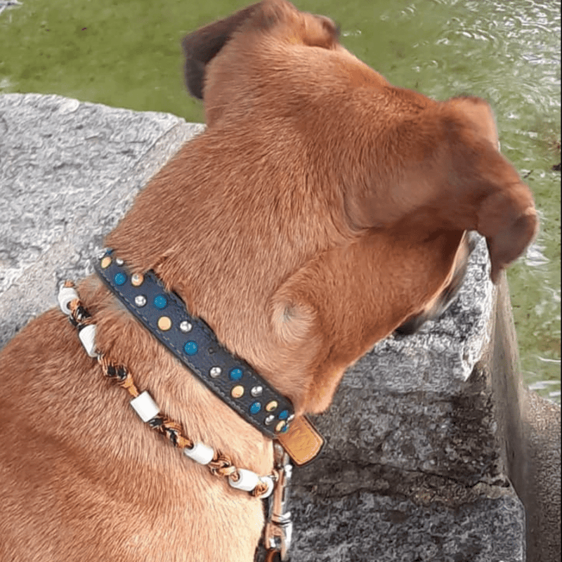 EM Ceramic Natural Anti Tick Collar The Woof Club