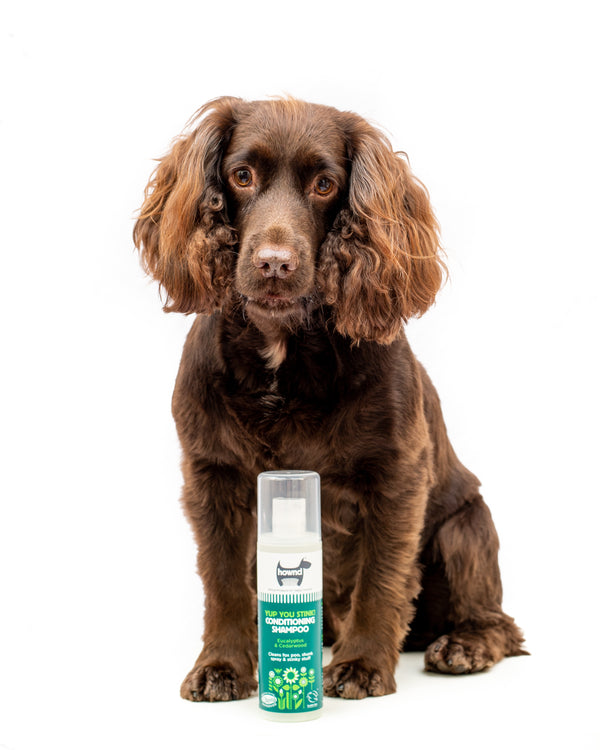 Hownd - Yup You Stink! Shampooing revitalisant pour chiens (250ml)