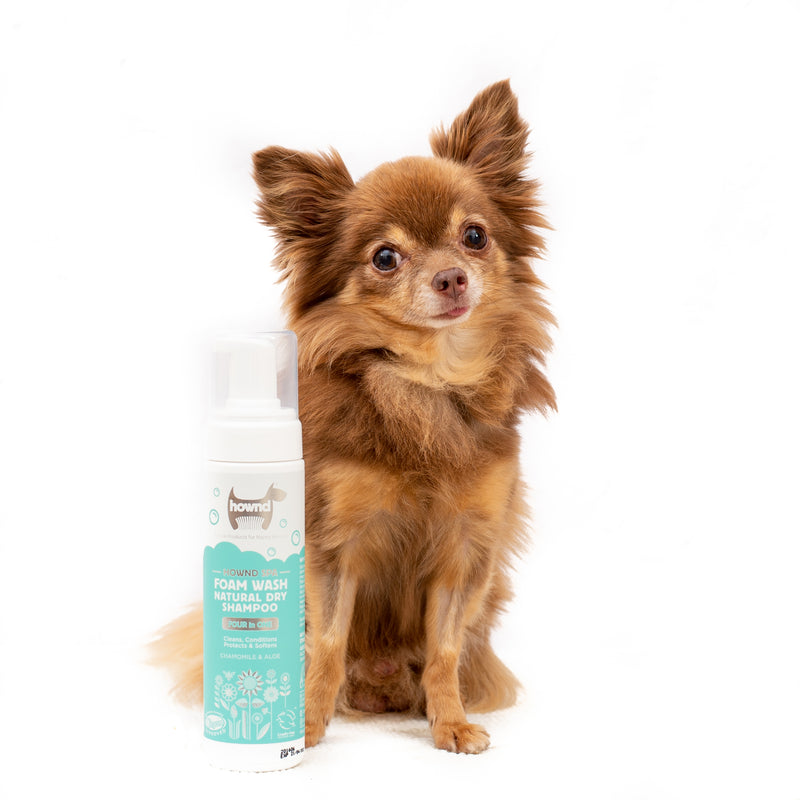 Hownd Miracle Waterless Natural Moard Wash pour chiens