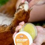 HOWND Hemp Skin Nose and Paw Balm with Sun Protection (50g)