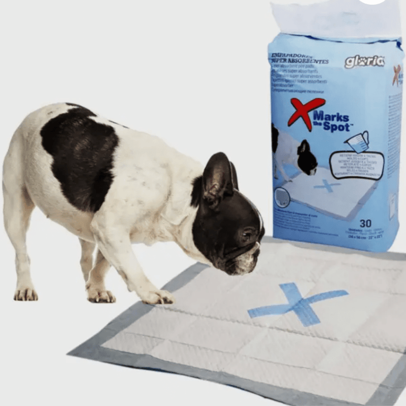 Fred's puppy training sales pads